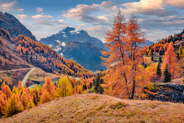 Gorgeous morning view of Dolomite Alps with yellow larch trees and winding road on background. Wonderful autumn scene of mountain valley, Giau pass location, Italy. Traveling concept background..