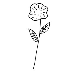 お花のイラスト素材