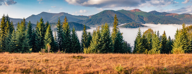 Autumn poster of Carpathian mountains. Sunny autumn scene of mountain valley. Colorful morning scene of Ukrainian countryside. Landscape photography. Beautiful autumn scenery