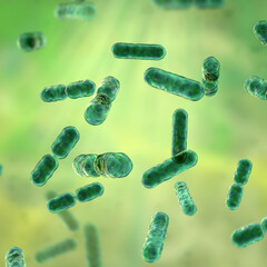 Bacteria Bacteroides, 3D illustration