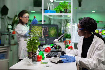 African american chemist researcher analyzing genetically modified plant expertise on computer...