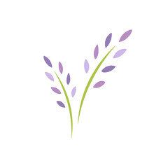 Green violet lavender flowers. flat icon isolated on white. Vector illustration.