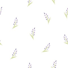 Seamless floral pattern with lavender flowers. Floral texture on white background.