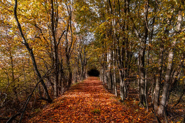 Fototapeta na wymiar October autumn colours. Colourful Croatia