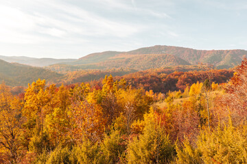 Fototapeta premium October autumn colours. Colourful Croatia