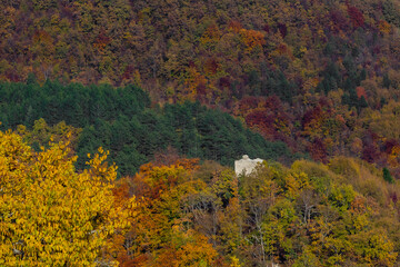 Fototapeta premium October autumn colours. Colourful Croatia
