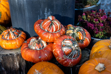 Pumpkins