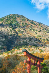 男体山を背景にした二荒山神社の鳥居【日光国定公園】／栃木県日光市