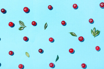Ripe lingonberry on blue background