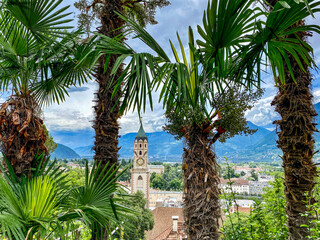 Palmen oberhalb von Meran in Südtirol