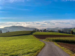 Herbstsonne über Hügelland