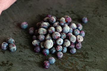 Frozen bluberries on the dark background