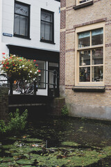 Fototapeta na wymiar bicycles and flowers in dutch town