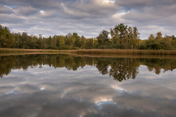 Fototapeta premium Biosphärenreservat Oberlausitzer Heide- und Teichlandschaft- Teichgebiet Holscha