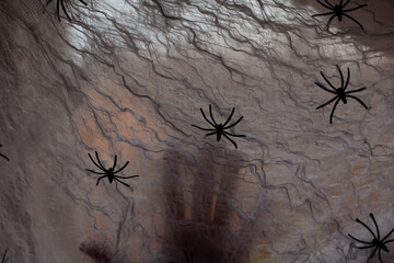 Halloween party decoration with  spider web and misty hand. Scary scene.