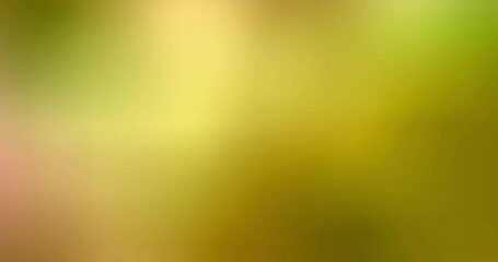 Color neon gradient, abstract blurred background