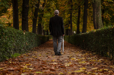 Fototapeta premium Rear view of adult man walking on path in public park in autumn with falling leaves on ground. Shot in Retiro Park, Madrid, Spain