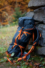 Gray tourist backpack and hiking equipment near the cliff in the forest. Tourism concept. Trekking and camping. 