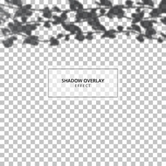 Shadow overlay effect on transparent background