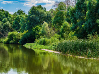 Fototapeta na wymiar Reflection of trees in the river flow of water. Water surface. Freshwater lakes and rivers. Green leaves of trees. Coastline. Blue sky. White clouds. Natural landscape. Summer sunny day.