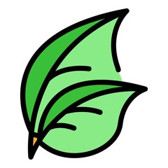 Basil herb icon. Outline basil herb vector icon color flat isolated