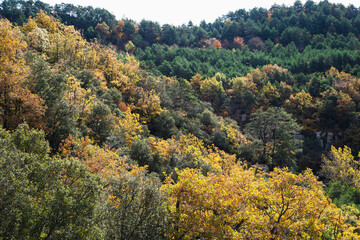 Obraz premium Autumn in the Sierra de Prades, Tarragona. Catalonia