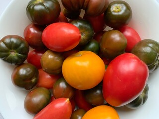 Fototapeta na wymiar ecological tomato multicolored black red yellow harvest pectin vitamins