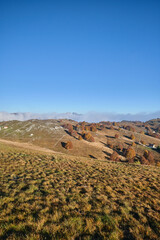 Riserva naturale integrale Piaie Longhe-Millifret in autunno