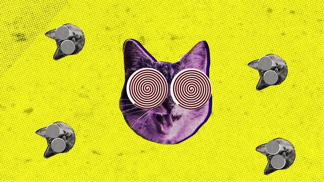 Cats are man's best friend - Zine culture graphic animation