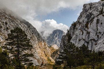 Biokovo mountain. Makarska riviera. Dalmatia. Croatia