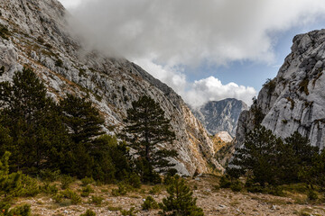 Biokovo mountain. Makarska riviera. Dalmatia. Croatia