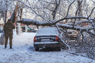 tree fell after heavy snowfall and crushed the cars parked near the house.