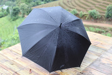 black umbrella spread on the ground