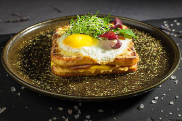 Delicious sandwich with roasted egg with green sprouts, ham and cheese on a dark background