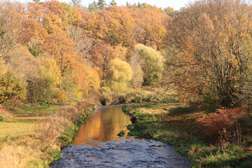Goldener Oktober an der Freiberger Mulde bei Nossen