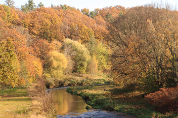 Goldener Oktober an der Freiberger Mulde bei Nossen