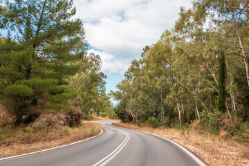 Fototapeta na wymiar Driving curvy asphalt road turning in pine and eucalyptus trees with cloudy sky, Lefkada island, Ionian sea coast, Greece. Travel by car
