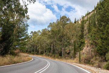 Driving curvy asphalt road turn left in pine and eucalyptus trees forest with cloudy sky, Lefkada island, Ionian sea coast, Greece. Summertime scenic day trip