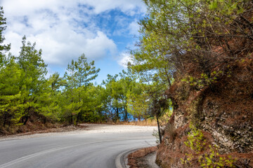 Fototapeta na wymiar Driving scenic road turn right serpentine in pine trees forest with blue cloudy sky, Lefkada island, Ionian sea coast, Greece. Sunny summer scenic day trip