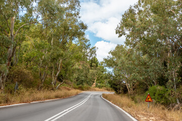 Driving curvy scenic road in Mediterranean trees forest with clear blue sky, Lefkada island, Ionian sea coast, Greece. Day trip by car