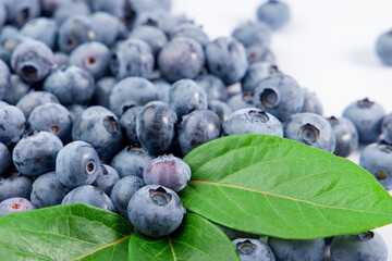 Blueberries close up with a green leaf.