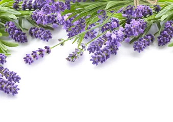 Rolgordijnen Fresh Lavender bundles on a white background. © Soho A studio