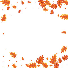 Red Oak Background White Vector. Plant Forest Frame. Golden Leaf. Pattern Texture. Gold Acorn Decorative.