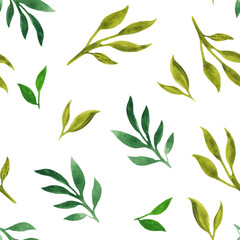 watercolor seamless pattern with green leaves, branches. For decoration and design, printing on paper, fabric, scrapbooking. Boho, rustic, botanical, natural style. Isolated on white background.