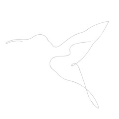 Fototapeta premium Continuous one line drawing of hummingbird minimalism drawing. Flying bird vector illustration