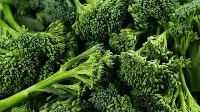 Fresh Tenderstem broccoli. Rotating Video