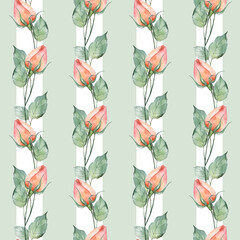 Pattern of waterolor rose flowers. Striped background.