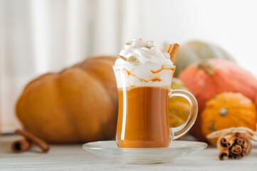 Cup with foam and cinnamon on background of pumpkins. Pumpkin autumn warming drink close-up and copy space...