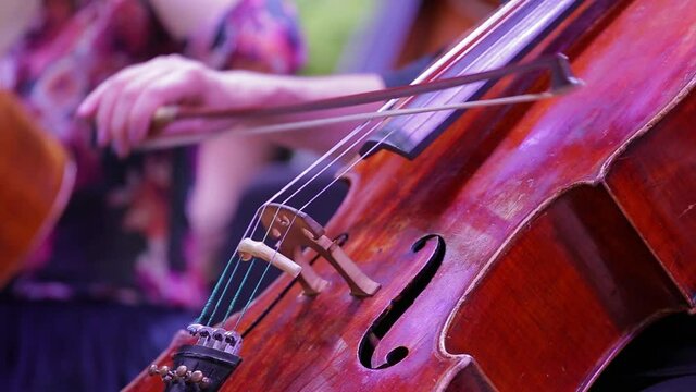 The musician plays the cello.Close-up movement of the bow on the strings.Symphony orchestra.