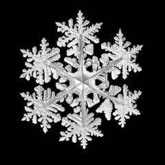 Snowflake isolated on black background. Macro photo of real snow crystal: elegant stellar dendrite with hexagonal symmetry, glossy 3D surface and six flat, fragile arms with complex details.